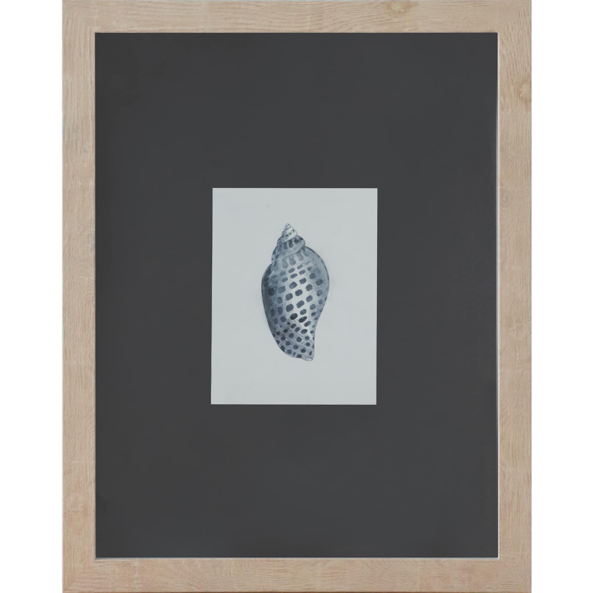 11" x 14" Blue Spotted Shell Art Wall Décor by Ashland®